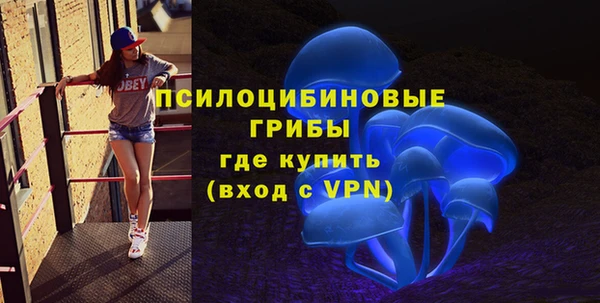 прущие крисы Алексин