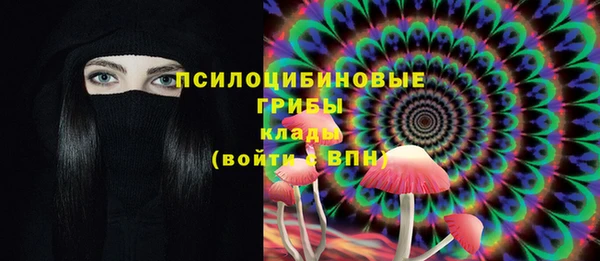 прущие крисы Алексин