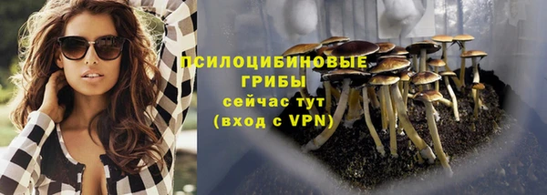 прущие крисы Алексин